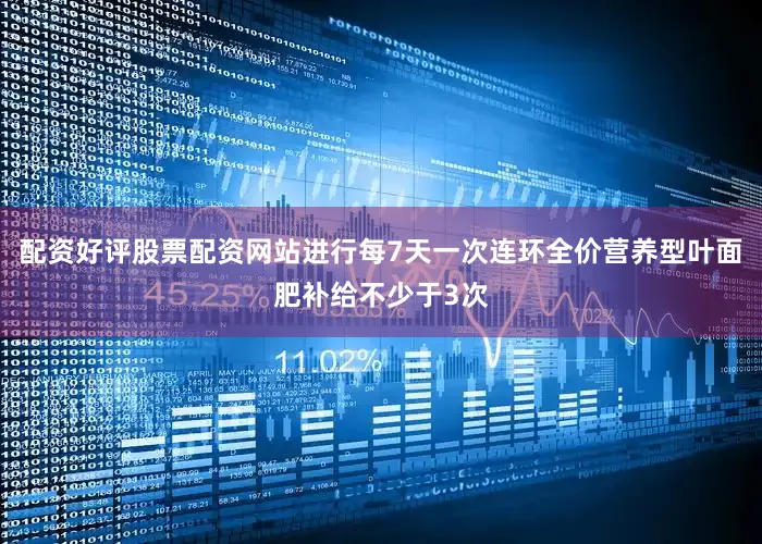 配资好评股票配资网站进行每7天一次连环全价营养型叶面肥补给不少于3次